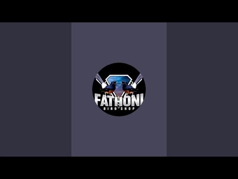 UP DATE STOCK DI KIOS BURUNG FATHONI BIRD SHOP