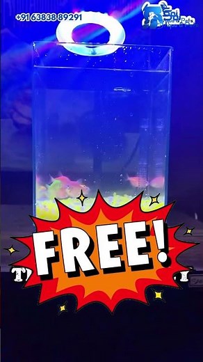 perfect for your modern aquarium setup! | SAI Aqua & Pets |