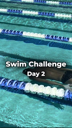 Daily Swim Challenge: 50 Breaststroke Insights