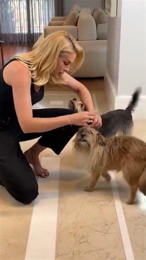 Joaquim left Neymar in the dust! #anahickmann #dogs #hairstyles #style #petlife