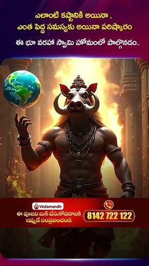 The Solution to Any Struggle or Major Problem Lies in This Bhu Varaha Swamy Homam | AVADHANI