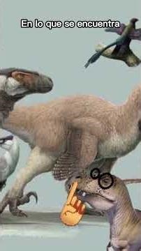 SIZE of Some DINOSAURS 💥🤓 #dinosaurs #dinosaur