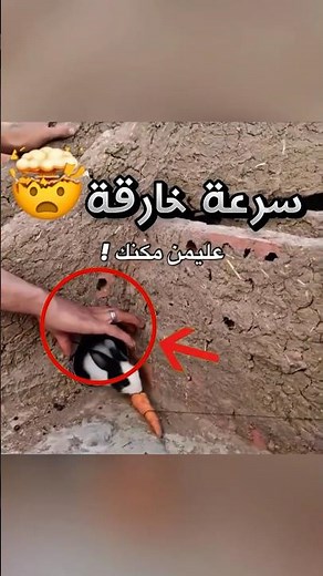 مسويين فخ لحتى يمسكوا الأرنب وسرعة الرجال كانت مو طبيعية !!😳 #youtubeshorts