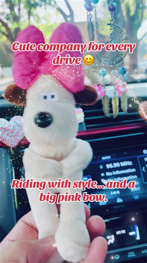 Driving in My Soft-Girl Era: Stylish Car Decor Ideas