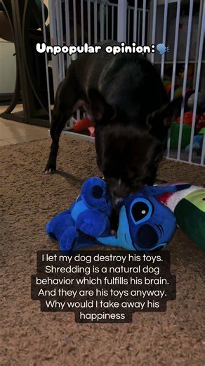 Bre Shadow🐕‍🦺 (@breez.0)’s videos with Day Tripper - Remastered 2015 - The Beatles