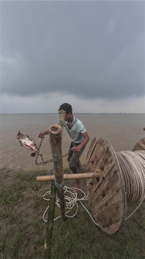Fishing for boal fish in the river with fish bait #fish #boal