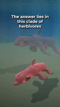 Why the oceans are so empty in the evolution simulation