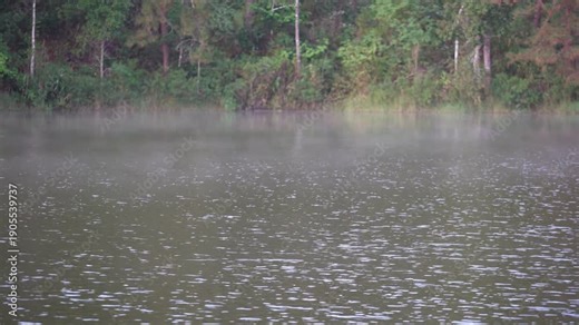 Pang Ung in Pang Tong Reservoir has cool mist for fog floating above the lake or river water in the mornings at Tham Pla National Park Pha Suea Waterfall Mae Hong Son to unseen in Amazon Asia Thailand