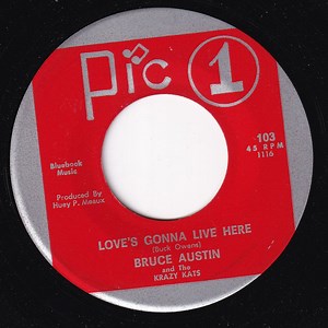 Bruce Austin And The Krazy Kats - Love's Gonna Live Here / At Mail Call Today