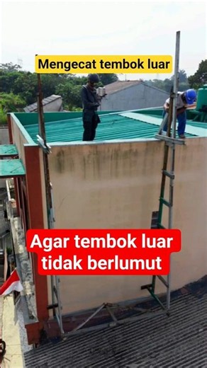 cara mengecat tembok agar tidak berlumut #tips #seputarbangunan #cattembok