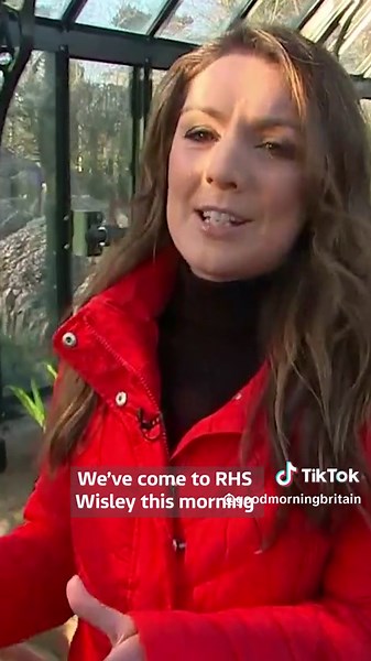 Guest storms off after Laura Tobin drops rare plant...😬 🤣 #gmb #lauratobin #weather #weatherpresenter #plant #funnymoment #live #gueststormsoff #rareplant #prank #awkward