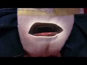 SML jeffy’s diaper rap song