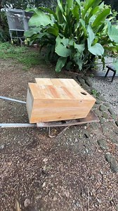 18K views · 261 reactions | Our Eclectus pair is now beginning to show signs of breeding behavior! We’ll be introducing a nest box, hoping it encourages them further. Fingers crossed for a successful season—happy breeding, everyone! | Myko's Aviary | Facebook