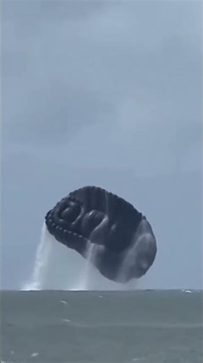 An alien ship comes out from a sea in United States while people were having fun. #news #alien #fyp