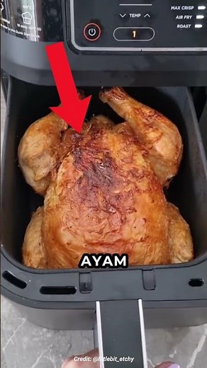 How Does an Air Fryer Make Food Crispy Without Oil? 🤯 #shorts
