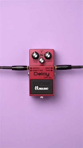 26K views · 665 reactions | A true reproduction of the vintage DM-2...