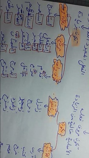الفعل المجرد و الفعل المزيد ✍️ | أسهل شرح للسنة الخامسة ابتدائي