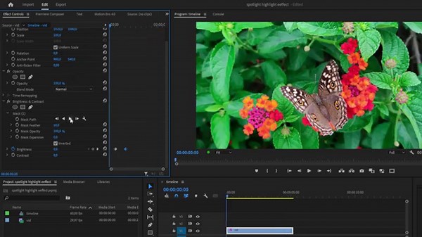 How To Make Spotlight Highlight Effect in Premiere Pro