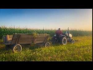 A Difficult autumn Day in the Village: picking raspberries after the rain and delicious village food