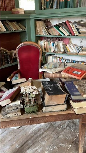 Abandoned Mansion Library Full of the Books