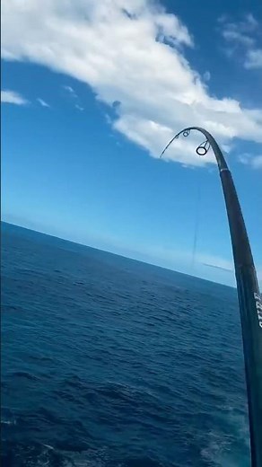 Jig fishing 🫣