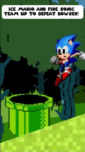 Super Mario x Sonic Crossover Animation | Mario Game Animation | AG Mario