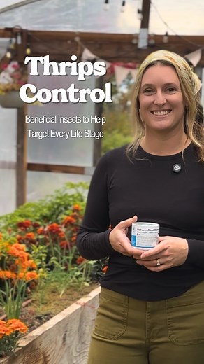 Thrip control starts with understanding their life cycle: Eggs ➜...