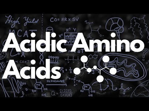 Acidic Amino Acids: Aspartate & Glutamate | MCAT