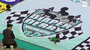 Crawling babies compete in 3rd annual Diaper Derby