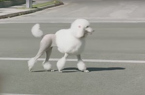 Pacing. Is it Bad? When Is It Bad, and Can You Spot It?