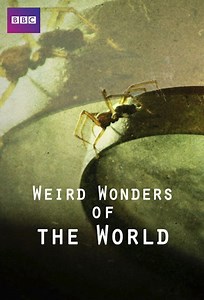 Best streaming options to watch Weird Wonders of the World without cable