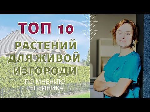 Топ 10 растений для живой изгороди. По мнению РЕПЕЙНИКА