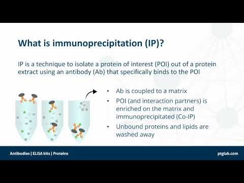 All about Immunoprecipitation Workshop