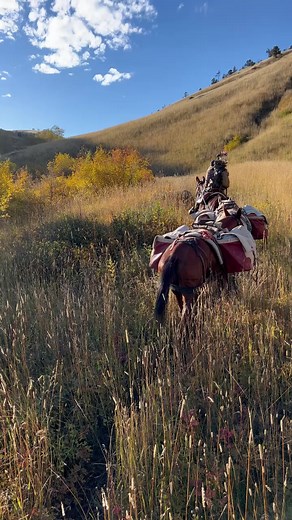 172K views · 1.9K reactions | Wyoming archery elk season vibes are ❤️! I am so blessed to call this incredible state, home. And, for the backcountry adventures that we are fortunate enough to experience on our public land. Bear Archery Pursuit | Kristy Titus | Facebook