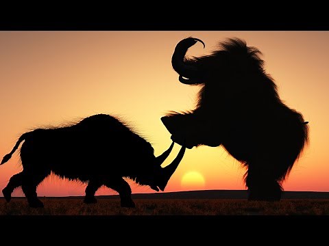 Woolly Mammoth VS Woolly Rhino - Size Comparison
