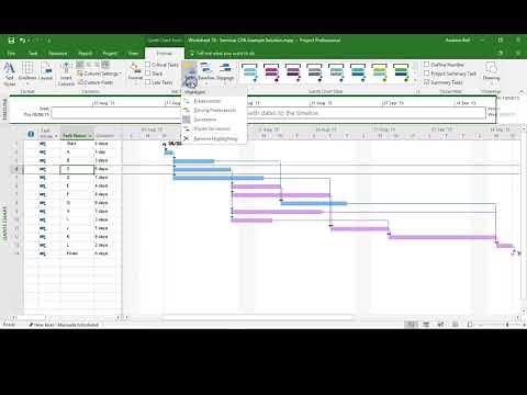 Task Paths in Microsoft Project