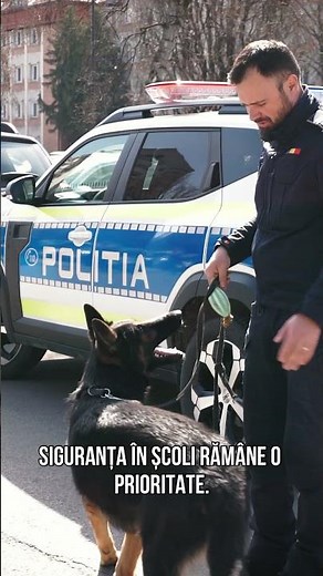 Bistrița: Acțiuni pentru siguranța elevilor | Prevenirea violenței și absenteismului în școli
