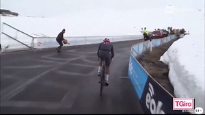 20K views · 139 reactions | Think they yelled “timberrrr” at all the riders Bernal dropped? bit.ly/3vyjhfL | CyclingTips | Facebook