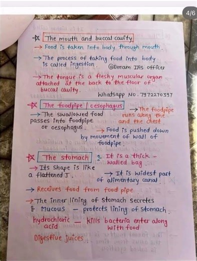 Ncert 7th Science notes #science #ctet #ncert #ncertnotes #scienceshorts #pstet2026 #exampreparation