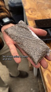 We’re conducting a little cold stratification experiment! Some flower varieties, including many native prairie flowers, can benefit from a period of exposure to cold temperatures, or stratification. In February, we stratified some prairie blazingstar seeds in a damp vermiculite media. Now, we are growing these seeds side by side with unstratified blazingstar seeds to see if the cold stratification process really makes a difference in our germination rates. #ColdStratification #NativeFlowerSeeds 