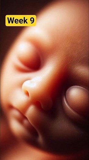 Pregnancy Week 9 Explained | Baby’s Facial Features & Organ Growth #shorts #pregnancy