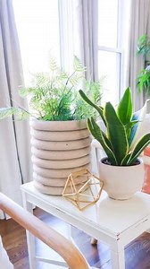 DIY Dollar Tree Planter | Liz Fenwick DIY