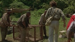 Mighty Joe Young (1998)