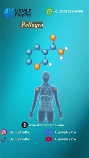 Pellagra & Vitamin B3: The Deadly 4 D's You Must Know!