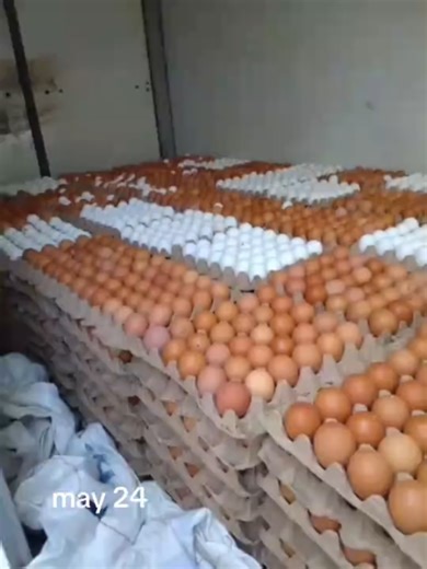 EMMANUEL POULTRY FARM 0257187395 0257187395 Good News Everyone Fresh Farm Eggs Laid Daily Available For Sale In Stock At EMMANUEL POULTRY FARM 1. Small - GHc31 2. Medium - GHC35 3. Large- GHC37 3. Jumbo - Ghc40 4. Double Yolk - Ghc43 Our Prices Are Very Unbeatable In The Market, Get In Touch For A Good Deal. Don't Worry About Your Location Because We Do Free Delivery Nation Wide. Note: Minimum Is 150 Crates Kindly Call 0257187395 0257187395 OR Whatsapp 0257187395 0257187395 EMMANUEL POULTRY FARM