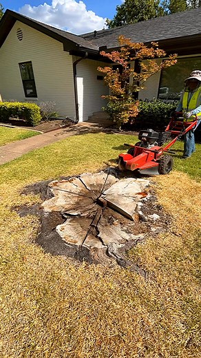 Stump grinding | Grass Media