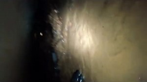 1.3K views · 61 reactions | Scooping Cave Booty! We pushed this cave to around 300 feet of passage. Jason barely fit... | TAG Caver | Facebook