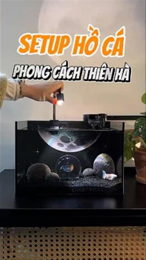 Setup Hồ Cá Phong Cách Thiên Hà Với Đèn Rọi Nuôi Cá Betta - Nuôi cá dưỡng tâm