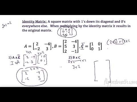 AP Precalculus – 4.11 The Inverse and Determinant of a Matrix