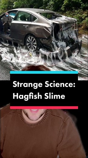 Discover the Fascinating World of Hagfish and Their Slime
